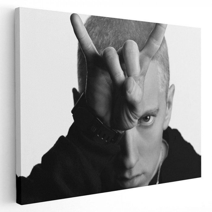 Tablou afis Eminem cantaret rap 2334 Tablou canvas pe panza CU RAMA 20x30 cm