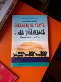 Culegere de texte &icirc;n limba țigănească - Gheorghe Sarău