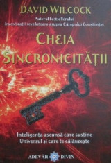 Cheia sincronicitatii. Inteligenta ascunsa - David Wilcock foto