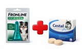 Antiparazitar Intern + Extern caini, Frontline Spot On Dog 10-20kg 1 pipeta + Cestal Dog 2 tablete