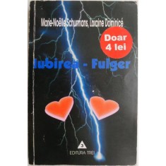 Iubirea-fulger. Eseu de sociologie comprehensiva &ndash; Marie-Noelle Schurmans, Loraine Dominice