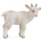 Ied - stand S - Animal figurina