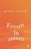 Ecouri in amurg - Mihai Ghiur