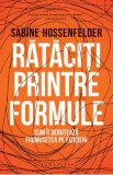 Rataciti printre formule - Sabine Hossenfelder