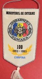 Fanion Aniversare 100 de ani 1893/1993 - Jandarmeria ROMANA (Campina)
