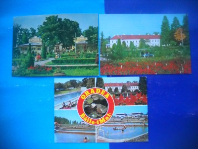 HOPCT LOT 2593 -BAILE 1 MAI- -ORADEA-JUD BIHOR-3 CARTI POSTALE-CIRCULATE foto