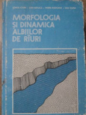 MORFOLOGIA SI DINAMICA ALBIILOR DE RAURI - I. ICHIM, D. BATUCA, M. RADOANE, D. D foto