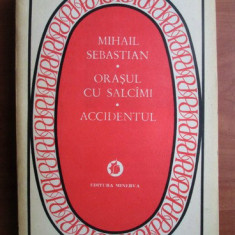 Mihail Sebastian - Orasul cu salcami. Accidentul