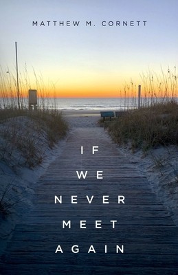 If We Never Meet Again foto