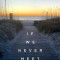 If We Never Meet Again