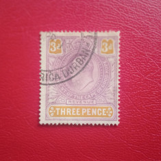 1903 - TIMBRU FISCAL - CAPE OF GOOD HOPE