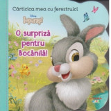 Disney Iepurasi. Carticica mea cu ferestruici. O surpriza pentru Bocanila