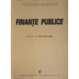 FINANTE PUBLICE-FILIP GHEORGHE-223197