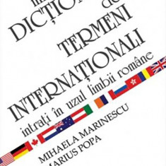 Mic dictionar de termeni internationali | Mihaela Marinescu, Marius Popa