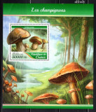 GUINEEA 2017, Ciuperci, serie neuzata, MNH, Nestampilat