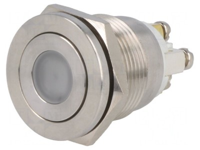 Comutator Anti-Vandalism 2 Poz SPST-NO 0.5A 220VAC 2A 36VDC foto