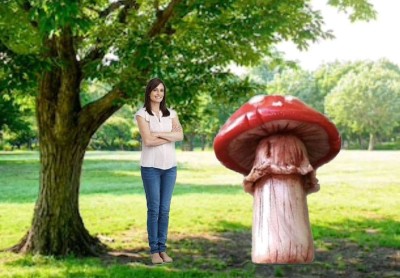 Ciuperca Gigant 1.7m decoratiune exterior Paste,iluminat festiv foto