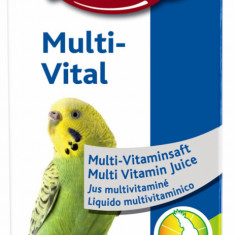 Multivitamine Sirop Pasari 50 ml 5035