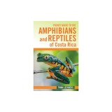 Pocket Guide to the Amphibians and Reptiles of Costa Rica