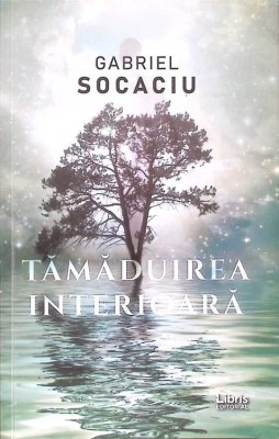 TAMADUIREA INTERIOARA-GABRIEL SOCACIU-275541 foto