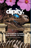 Dipity Literary Mag Issue #2 (Jurassic Ink Rerun Official Edition): Poetry &amp; Photography - December, 2022 - Hardcover Economy Edition