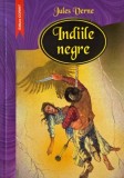 Indiile negre roman Jules Verne carte anticariat stare buna