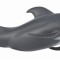 Figurina balena pilot l collecta