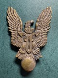 Insigna pilot militar Ferdinand 1 perioada 1914 1915 1916 1927 varianta tombac prindere tip bara