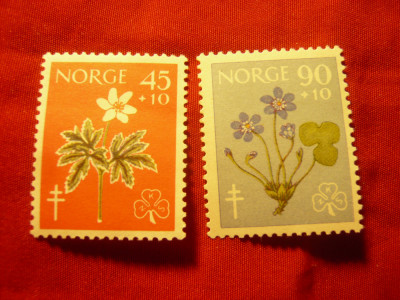 Serie Norvegia 1960 - FLORA ,2 valori foto