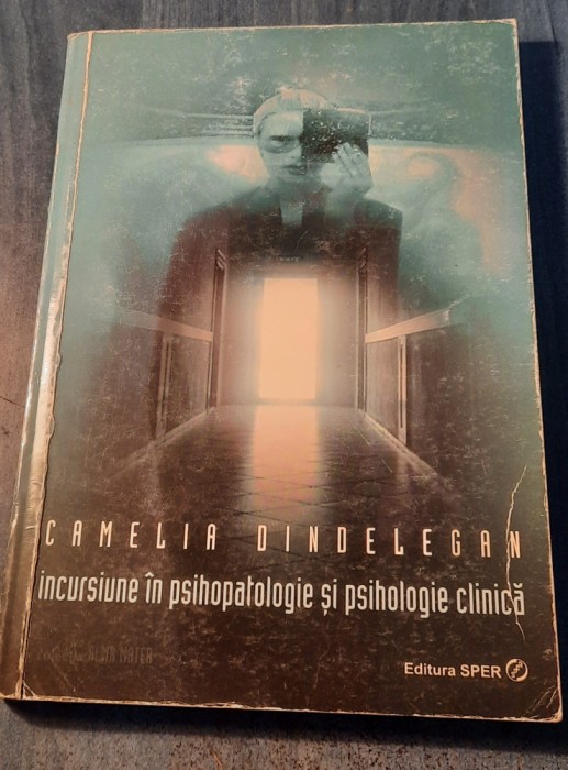 Incursiuni in psihopatologie si psihologie clinica Camelia Dindelegan