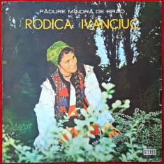 RODICA IVANCIUC - PĂDURE M&Acirc;NDRĂ DE BRAD - MUZICĂ POPULARĂ - DISC VINYL / VINIL LP, ALBUM PICK-UP ELECTRECORD
