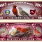 !!! SUA = FANTASY NOTE (TJ6) = OHIO , THE OHIO NORTHERN CARDINAL - 2023 - UNC