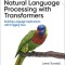 Natural Language Processing with Transformers, Revised Edition