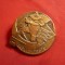 Insigna Carnavalul Bassel Germania 1970 autor Felix Muller ,bronz ,h=4cm