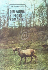 Din fauna si flora Romaniei. Lecturi stiintifice foto