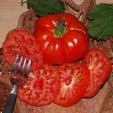 Rosii , tomate MARMANDE - 5 seminte opentru semanat