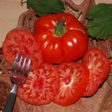 Rosii , tomate MARMANDE - 5 seminte opentru semanat