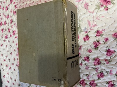 Mic dicționar enciclopedic foto