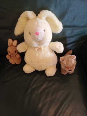2 Iepurasi+ 1 pisoi de plus foto