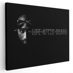 Tablou afis Tupac Shakur 2Pac cantaret rap 2389 Tablou canvas pe panza CU RAMA 80x120 cm