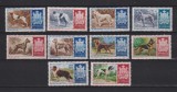 SAN MARINO, FAUNA RASE DE CAINI 1956 MI. 547-556 MNH