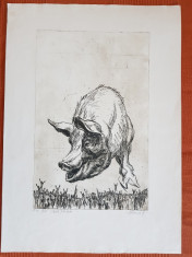 Slava Porcului, gravura, Marcel Chirnoaga, Exemplar de Autor III din V, 32x51cm foto