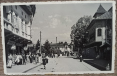 Pucioasa, Strada Regala, Farmacia Salvator, Frizeria// CP foto foto