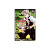 Demon Slayer: Kimetsu No Yaiba, Vol. 17, Volume 17