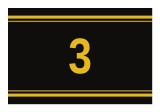 Sticker autoadeziv nr. 3 - Signetten SAFE auriu pe fundal negru