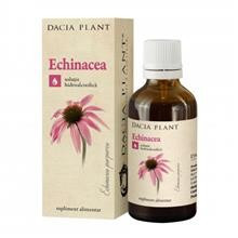 Tinctura Echinacea Dacia Plant 50ml Cod: 2731 foto