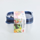 Set 4 mini caserole cu capac bleumarin