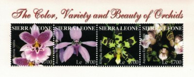 SIERRA LEONE 2004 - Orhidee / bloc MNH foto