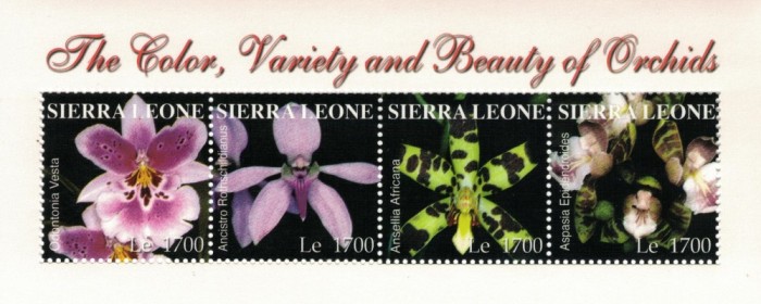SIERRA LEONE 2004 - Orhidee / bloc MNH