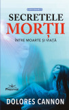 Secretele mortii - Dolores Cannon - Prestige